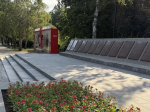 Более 7 тысяч цветов высадили на клумбах Ставрополя ко Дню города.