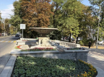 Более 7 тысяч цветов высадили на клумбах Ставрополя ко Дню города.