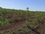 Поручение Губернатора выполнено