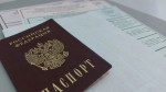 Выборы в Думу Ставрополья 2026: кто победил – результаты по одномандатным округам