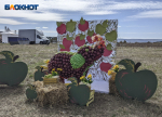 На 3 миллиона — 15 тысяч гостей: фестиваль «Песни ветра» в Ставрополе отыграл по всем ставкам