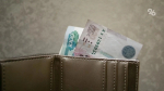 На Ставрополье за отказ регистрировать кур оштрафуют на сумму от 500 рублей