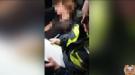 В Благодарненском округе на пьяного 18-летнего водителя составили 13 протоколов